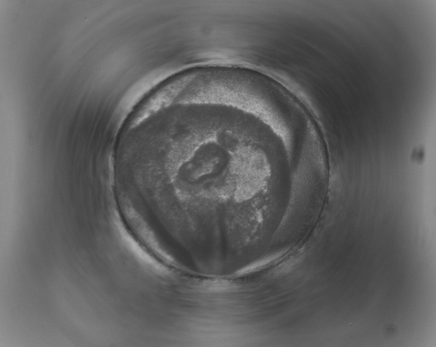 X0000112861239200909181753