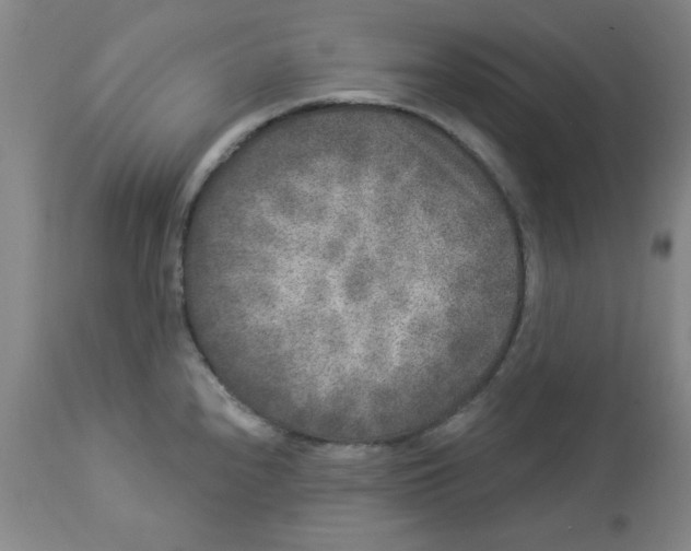 X0000112861240200909181753