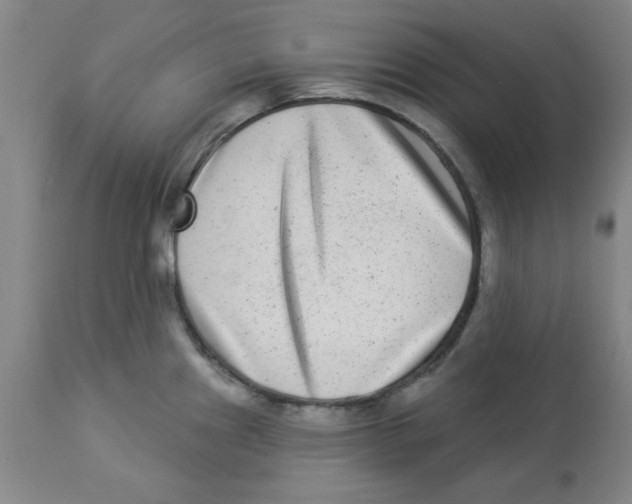 X0000112861241200909181753