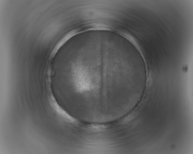 X0000112861243200909181753