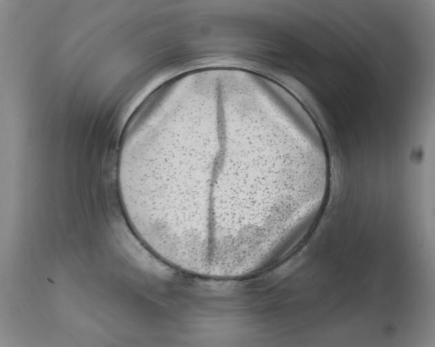 X0000112861244200909181753