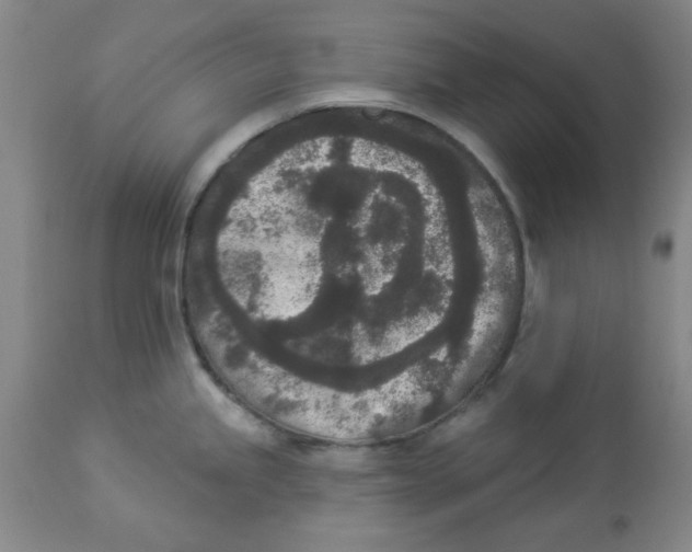 X0000112861245200909181753