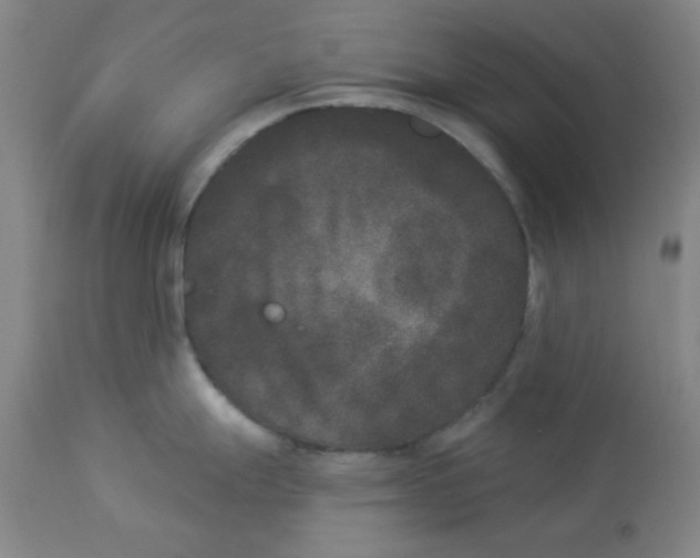 X0000112861247200909181753