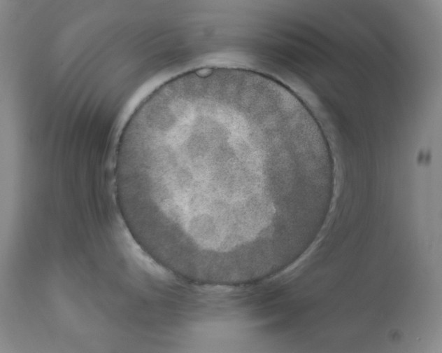 X0000112861248200909181753