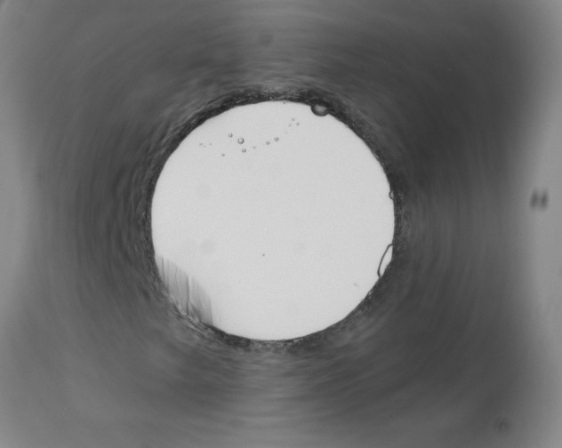 X0000112861249200909181752