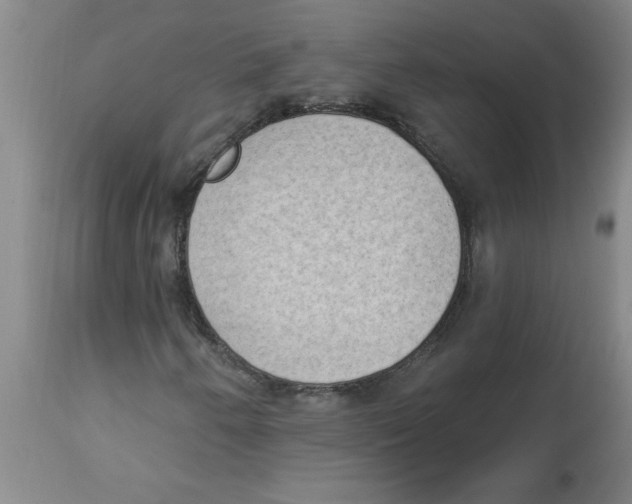 X0000112861250200909181752