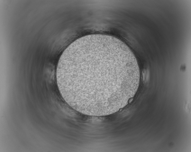 X0000112861251200909181752