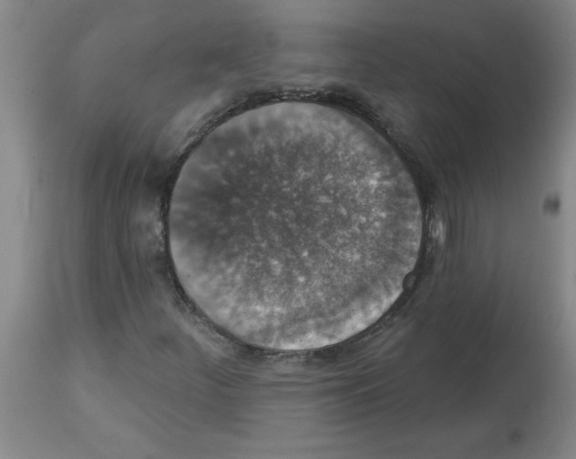 X0000112861252200909181752