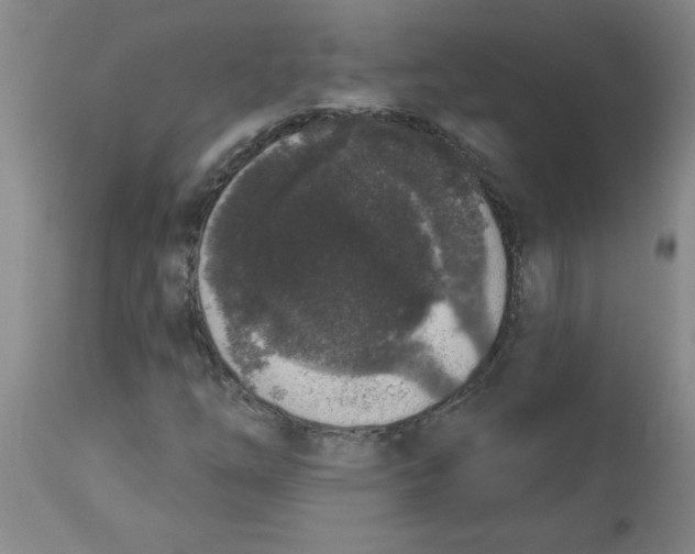 X0000112861254200909181752