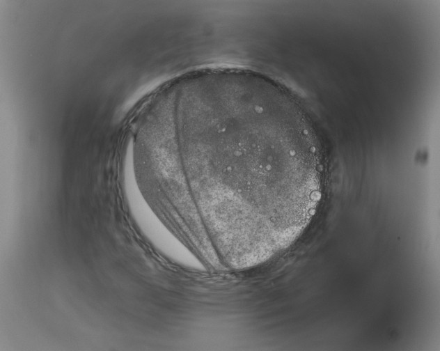 X0000112861255200909181752