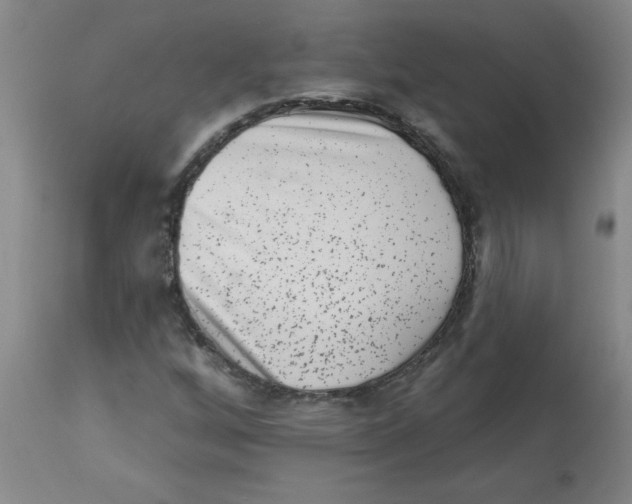 X0000112861256200909181752