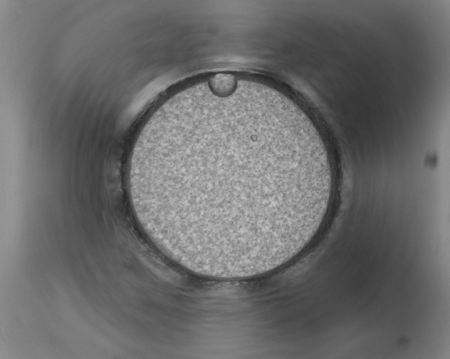 X0000112861259200909181752