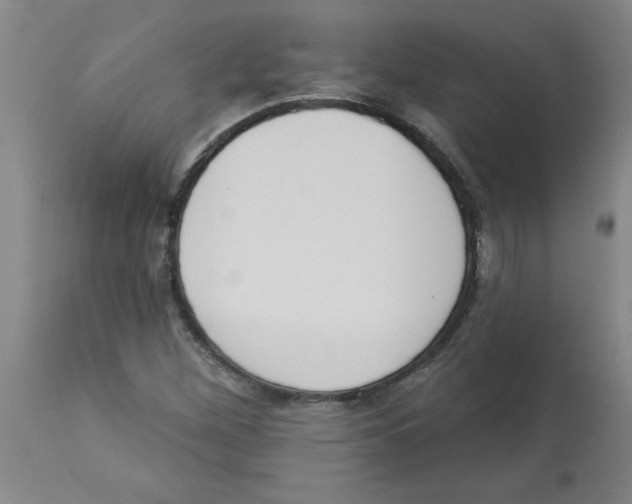 X0000112861260200909181752