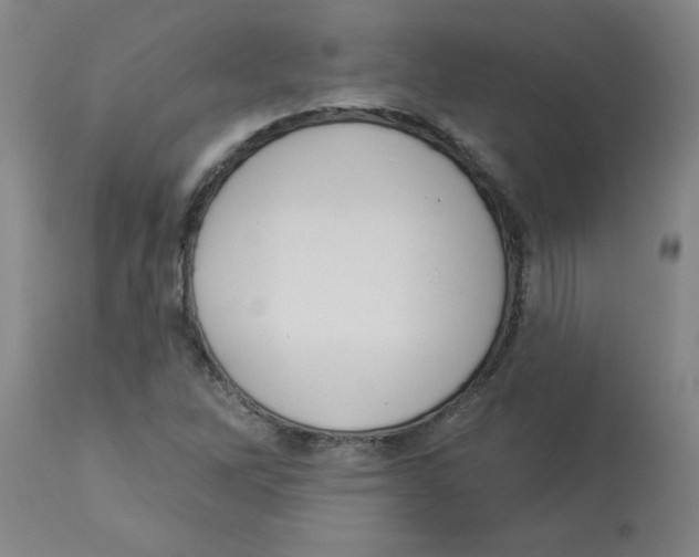 X0000112861262200909181752