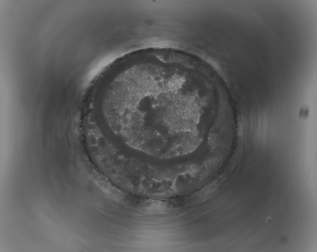 X0000112861263200909181752