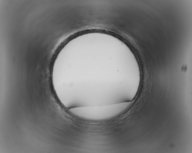 X0000112861264200909181752