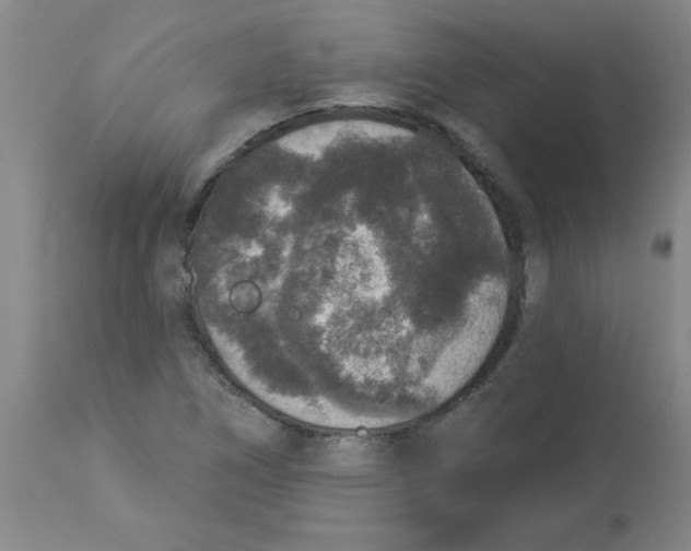 X0000112861266200909181752