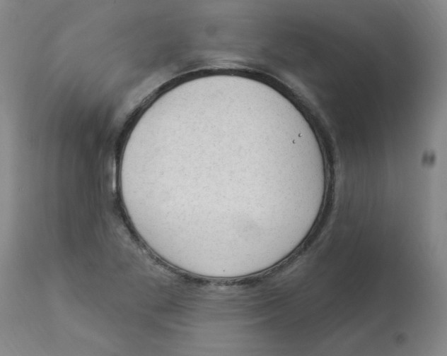 X0000112861269200909181752