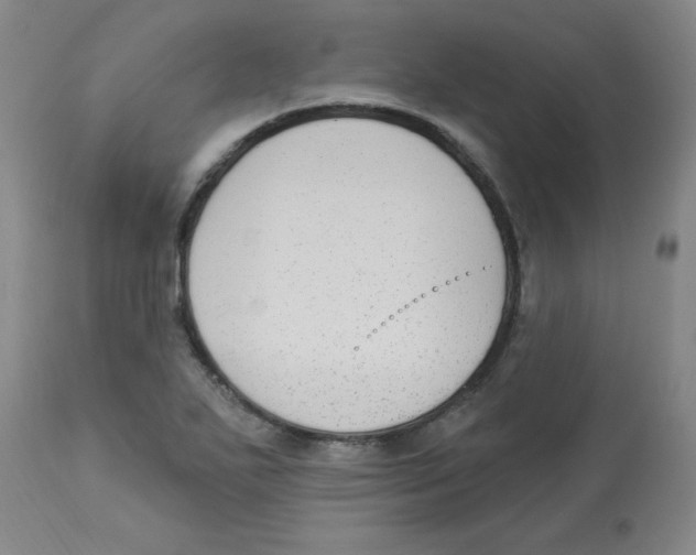 X0000112861271200909181752