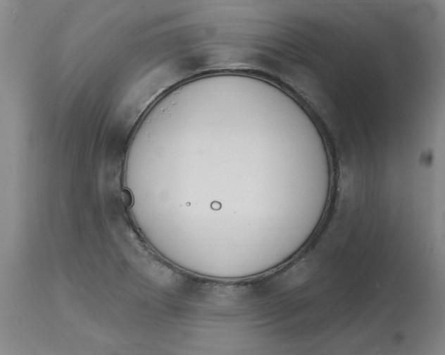 X0000112861273200909181752