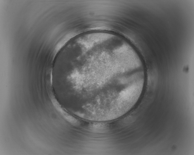 X0000112861274200909181752