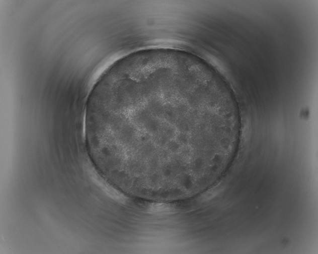 X0000112861275200909181752