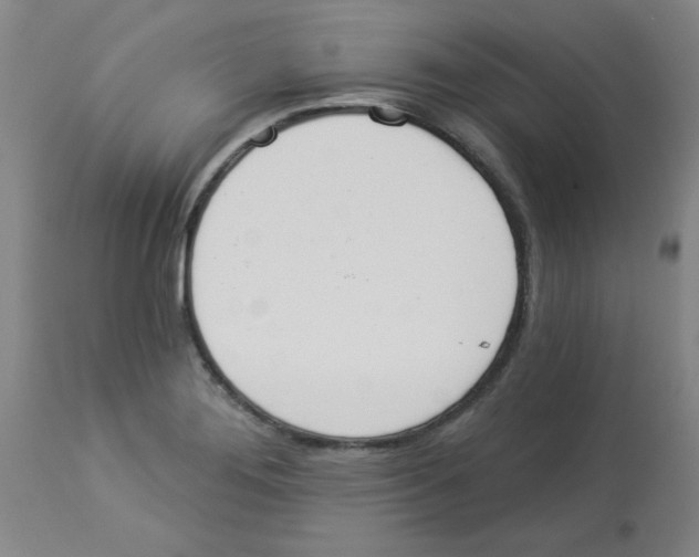 X0000112861276200909181751