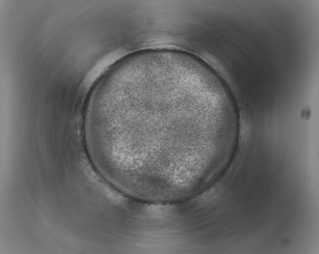 X0000112861277200909181751