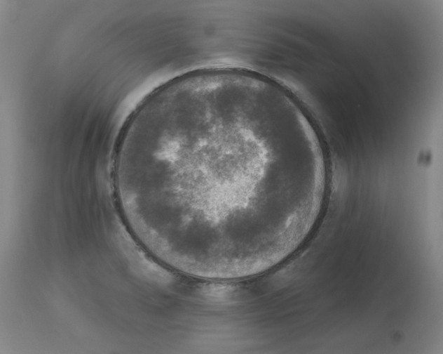 X0000112861278200909181751