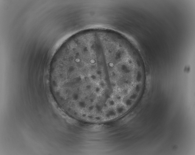 X0000112861279200909181751