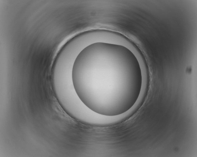 X0000112861280200909181751