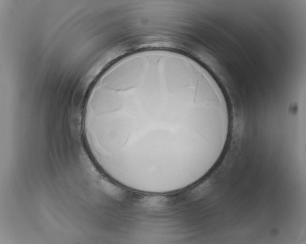 X0000112861282200909181751