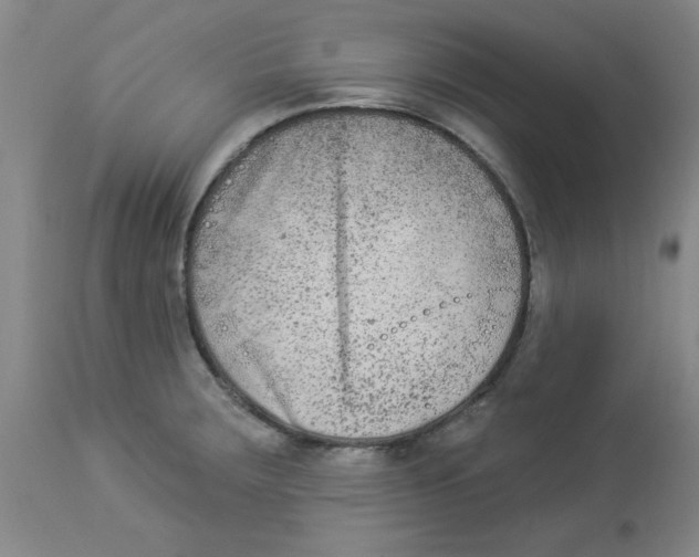 X0000112861283200909181751