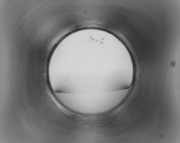 X0000112861285200909181751