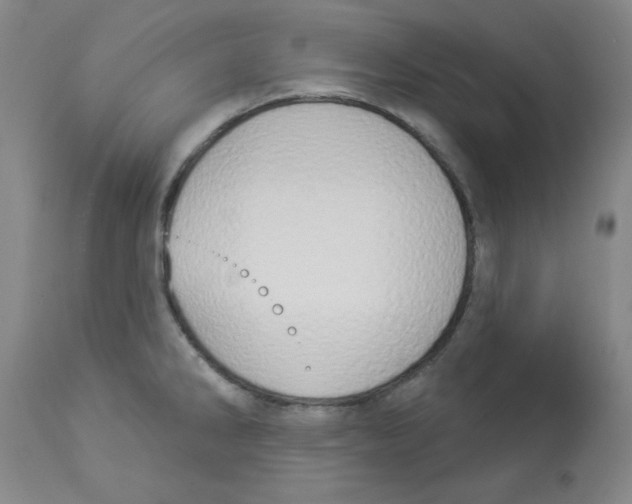 X0000112861286200909181751