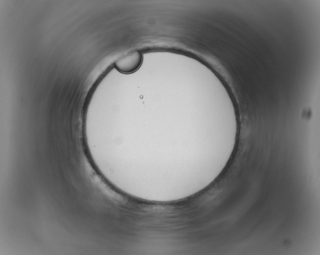 X0000112861287200909181751