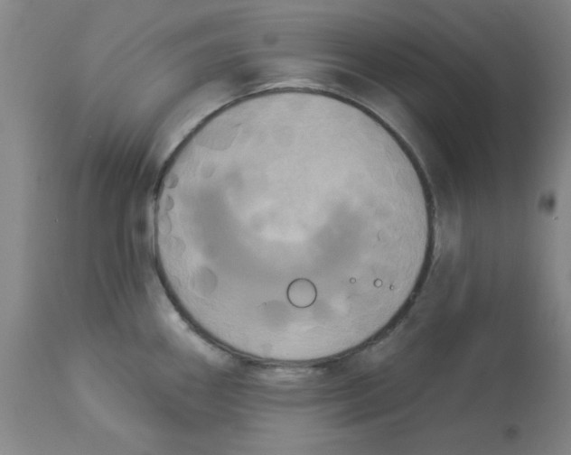 X0000112861290200909181751