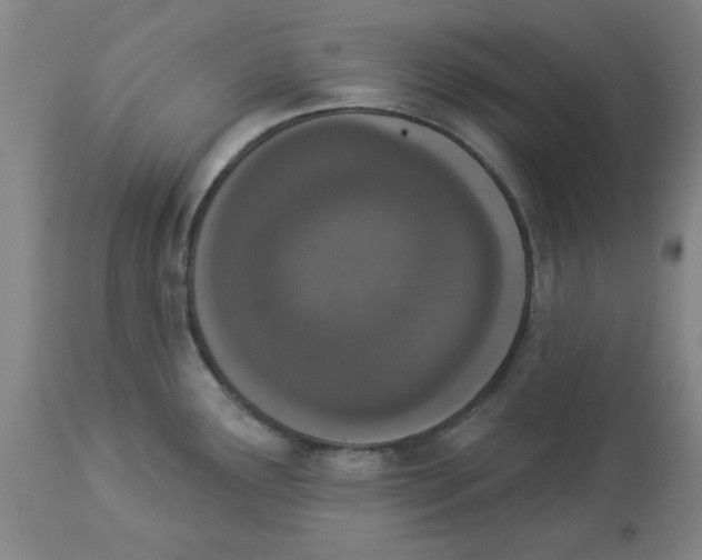 X0000112861291200909181751