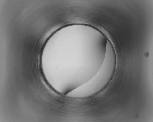 X0000112861293200909181751