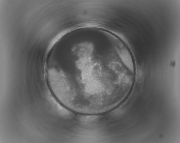 X0000112861294200909181751