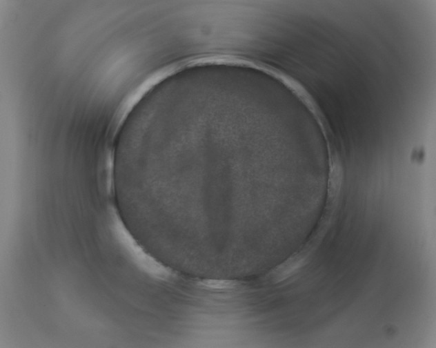 X0000112861295200909181751