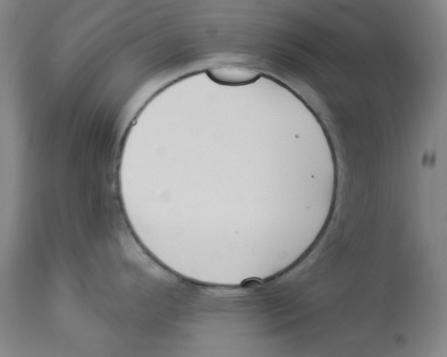 X0000112861296200909181751