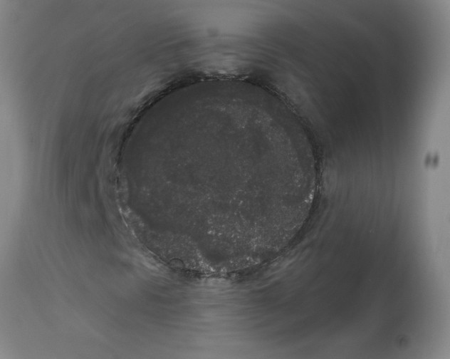 X0000112861297200909181751