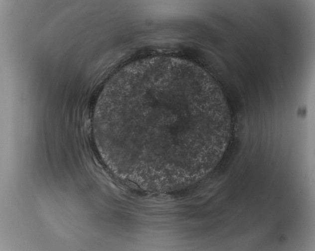 X0000112861298200909181751