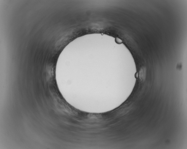 X0000112861299200909181751