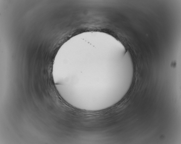 X0000112861300200909181751