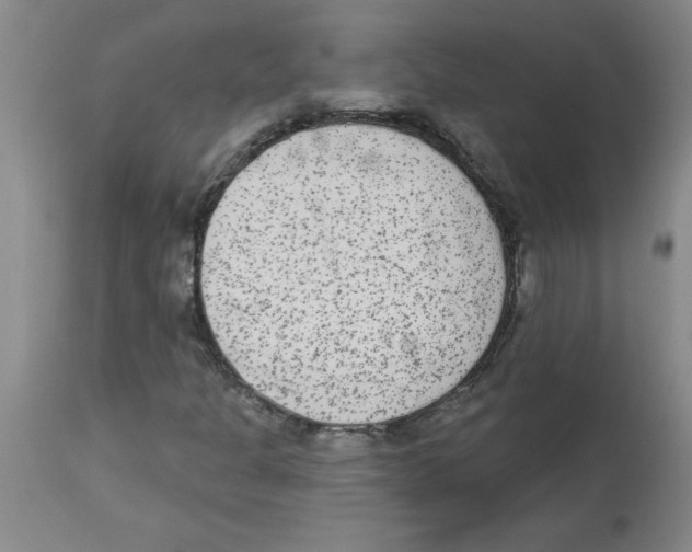 X0000112861301200909181751