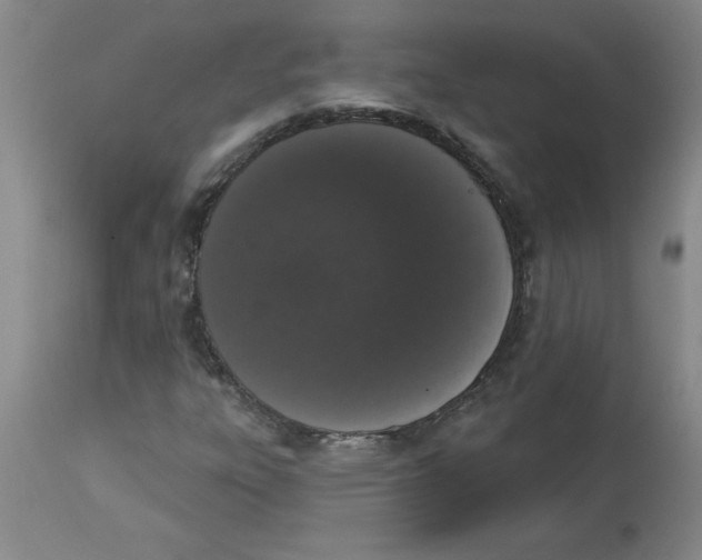 X0000112861303200909181751