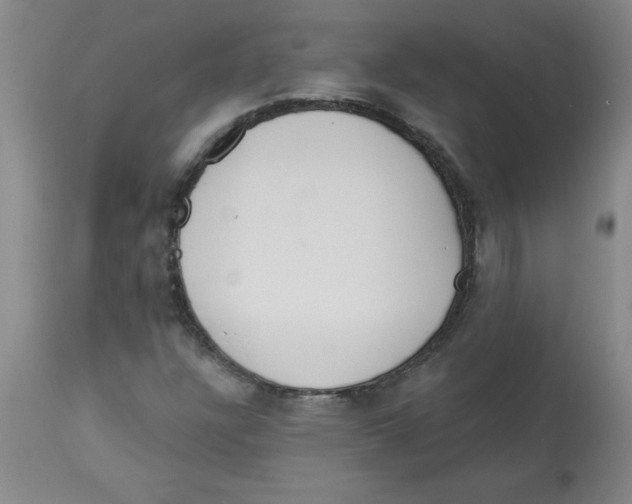 X0000112861304200909181751