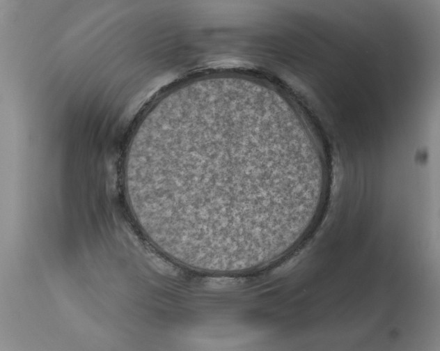 X0000112861305200909181751